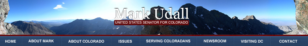 theme_banner