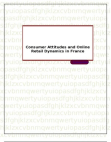 Consumer Attitudes and Online Retail Dynamics in France