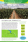 Effectiveness Review: Ruti Irrigation Project, Zimbabwe