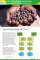 Effectiveness Review: Support to Coffee Farmers, Northern Haiti
