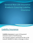 General Non Life Insurance Products