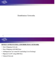 Distribution Networks in Supply Chain