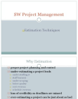 Software Project Mgmt: Estimation Techniques