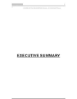 Research Proposal For Pace Shopping Mall Gujranwala