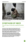 Overtaken By Need: The world's failure to meet Syria's humanitarian crisis