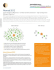 Nomad Product Sheet