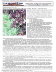 Scribd Document 48068696