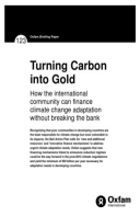 Turning Carbon into Gold: How the international community can finance climate change adaptation without breaking the bank