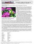 Scribd Document 56430091