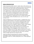 nokia pr 