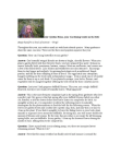 Scribd Document 59567031