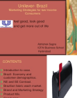 Unilever in Brazil