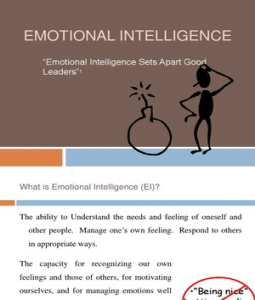 Emotional Intelligence  on Emotional Intelligence Ppt Mba